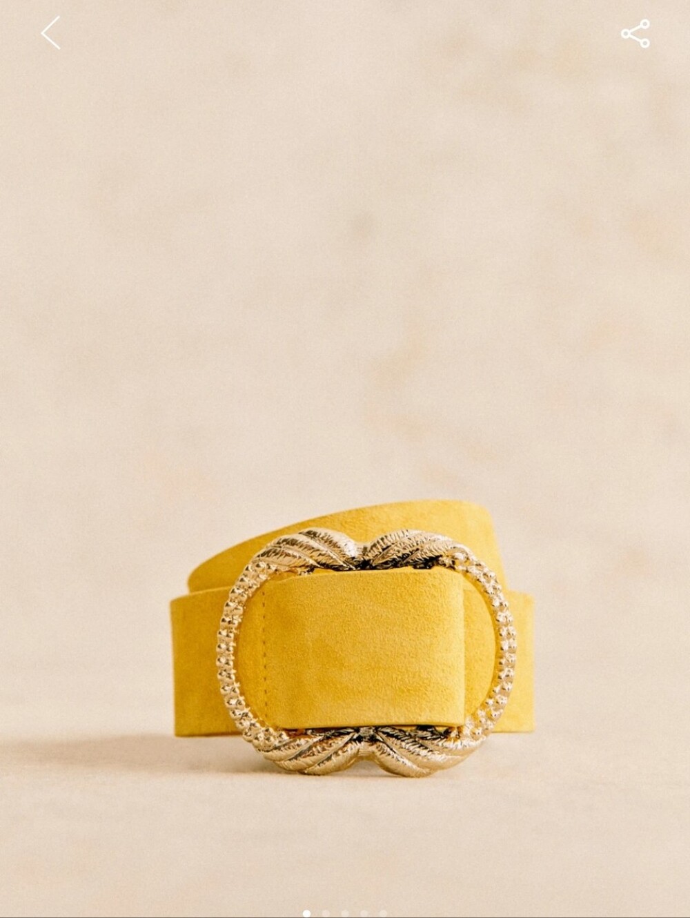 Sezane Artemis Belt in Yellow with Gold Buckle